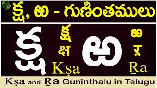 క్ష, ఱ గుణింతాలు | Ksha, Ra gunintham |How to write Ksha, Ra guninthalu |Telugu varnamala Guninthalu