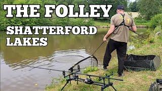 11 FISH IN 4 HOURS! THE FOLLEY | SHATTERFORD LAKES | SUMMER CARP FISHING 2024