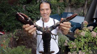 Iron Chef Dad Cooks Lobster.