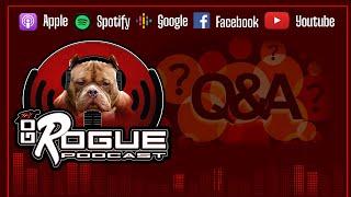 The Go rogue Q&A