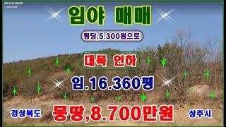 물번,566번)  급매,임야 대폭인하 16.360평 몽땅,8.700만원입니다, 105평 답 생산관리지역,포함, 평당,5.300원으로 대폭 인하하였습니다,시멘트포장도로 접,전기,