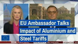 EU Ambassador to US Talks About the Impact of Aluminium and Steel Tariffs on BBC