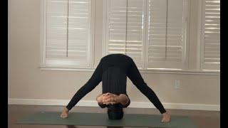 Prasarita Padottanasana ABCD @ashtangayogashala_california