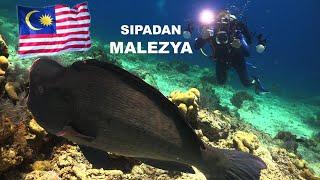 Sipadan MALEZYA