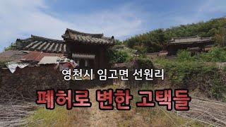 영천 임고면 선원마을 - 폐가로 변한 고택들