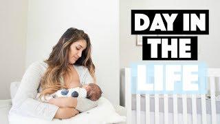 Day in the Life of a Young Mom with a Newborn