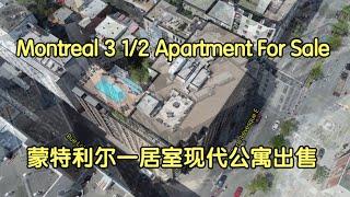 Montreal Downtown 3 1/2 Condo / Apartment 690 sf for Sale 蒙特利尔市中心一居室公寓出售