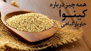 خواص و مضرات کینوا و دستور تهیه چند غذا با کینوا