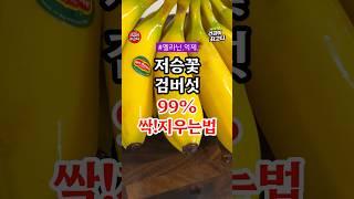 저승꽃 검버섯 99% 싹~지우는 법 #건강 #건강정보