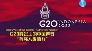 【海评面】G20峰会上的中国声音“有强大影响力”