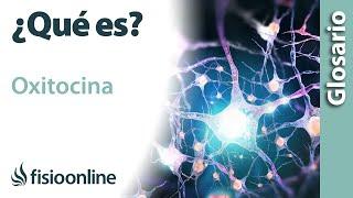 OXITOCINA | Qué es, qué órgano la segrega, efectos, en qué estructuras del cuerpo actúa