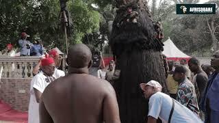 Mawalu M Oji - Live Performance of Ajofia Nnewi