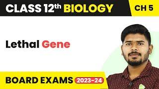 Lethal Gene - Principles of Inheritance and Variation | Class 12 (2022-23)