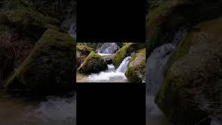  Harmonize Your Being with 174Hz: Serene Streams & Cascading Falls | Tranquil Tone Therapy  S1