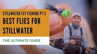 10 Best Stillwater Flies (DON'T FISH LAKES WITHOUT THEM)