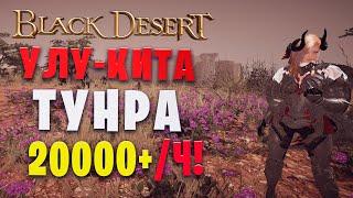 Улу-кита (Тунра) | 2 свиток  20000+ | Страж в наследии (Black Desert)