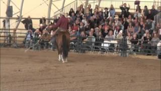 Parelli 2011 Liberty & Bridleless Riding Summit Day 3