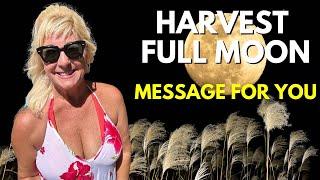 Harvest Full Moon Message - Let Go to Receive!