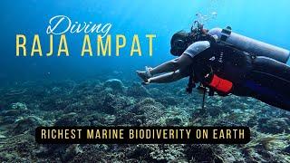 Raja Ampat in 2025 | 4K | Dive into the Richest Biodiversity on Earth