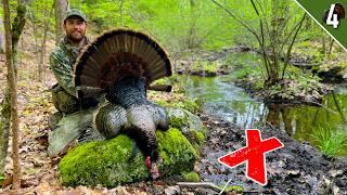 Calling Turkeys to an EXACT Spot!!! - (2 Hunts)