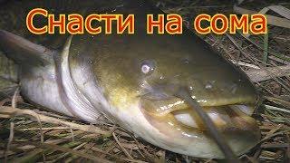 Ловля сома на куриную печень и как сделать снасть на сома . My fishing