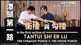 Northern Shaolin Series-The straight & the hook punch in the 1st section of Tantui北方少林拳系潭腿 第一路之衝捶與勾捶