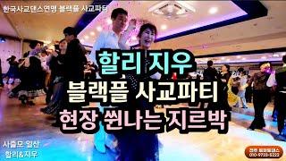 흥겨운 리듬지르박 한국사교댄스연맹 블랙플 사교파티 할리 지우  Korean socialdance