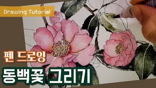 Pen Drawing and Watercolor [Camellia Drawing/drawing for beginners/Arboretum-3]