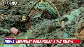 BUAYA MASUK PERANGKAP