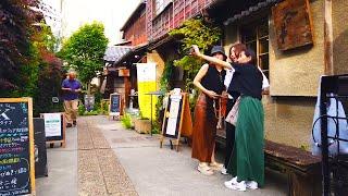 Tokyo Walk - Ueno to Nippori. Scenery of Yanaka Cemetery in summer - June 2024