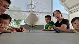 일요일 김해 봉황동 헤이그린(HEY GREEN)
