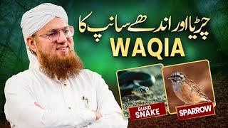 Chirya Aur Andhe Sanp Ka Waqia | Daku Ki Tauba | Allah Par Tawakkul | Abdul Habib Attari