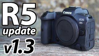 Canon EOS R5 FW v1.3 TESTED: 1080 120p, C-Log 3, 8k RAW light