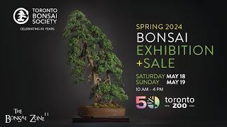 The Toronto Bonsai Society's Spring Show and Sale, The Bonsai Zone, May 2024