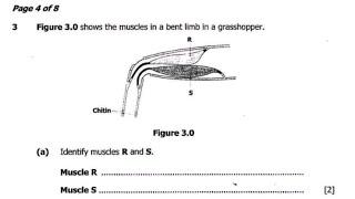 Biology G12 Paper 2 2017 GCE Question 3