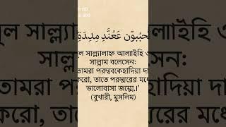 আমার প্রিয় নবী মুহাম্মদ (সা.)   এক উম্মতের ভালোবাসার বার্তা