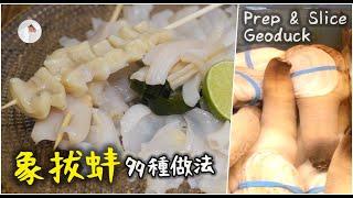 【多種切法】象拔蚌處理細節＋方法  【Eng Sub】 Prep & Slice Geoduck