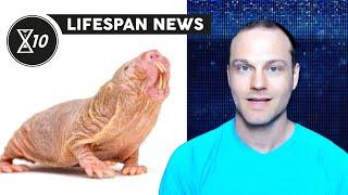 Lifespan.io Launches Lifespan News