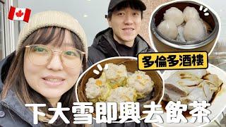 [加拿大vlog] 下雪即興去Markham酒樓飲茶🫖 竟然看到總理的照片 逛大型中式超市大統華｜多倫多 ｜ franfran