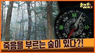 [세상실험] 죽음을 부르는 숲이 있다??! [TV탐험 놀라운 아시아] | KBS 20070213 방송