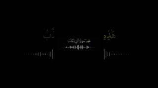 🫀...!#fyp#foryou#text_quran