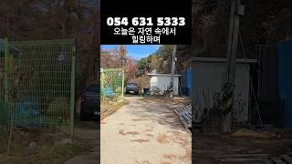 물건번호 003번 // 자두나무 과수원, 단산면 토지매매,  054 631 5333 #영주부동산 #영주시 문수면 전 #영주 농지 #영주주택 #영주시청 #전원주택