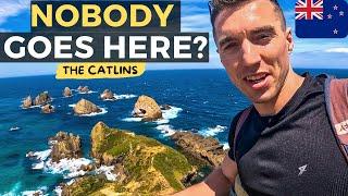 YOU NEED TO KNOW THIS! Most Underrated Place in New Zealand, The Catlins, Nugget Point Lighthouse 