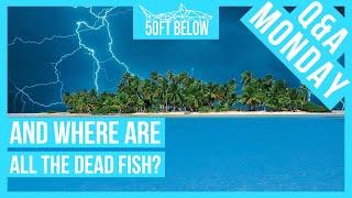 Will Lightning Kill You While Scuba Diving? | Scuba Q & A Monday