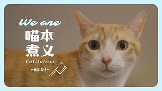 We are Catitalism : Ep.0001