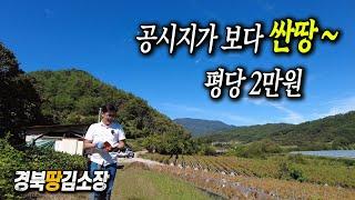 경북땅김소장[매번804번] #영양땅#평당2만원 매매 1,750만원