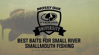 Best Baits for Small River Smallmouth Bass Fishing