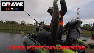 Some Brutal Topwater Snakehead Kayak Fishing - Drag Ripping Dragons!!!