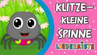 Klitzekleine Spinne - Kinderlieder zum Mitsingen | Liederkiste