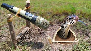 EASY SNAKE TRAP_ Build the Most Amazing Snake Trap In Hole Make By Microphone That Work 100%